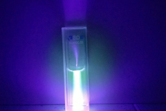 img20240129143533 img20240129143533